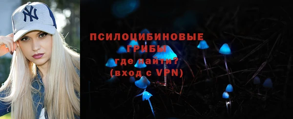 ГАЛЛЮЦИНОГЕННЫЕ ГРИБЫ Новозыбков