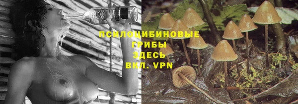 соль ск Алексин