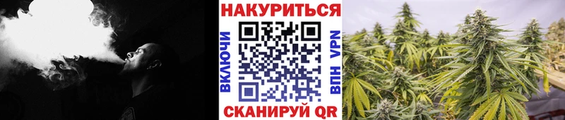 как найти закладки  Далматово  Конопля ГИДРОПОН 